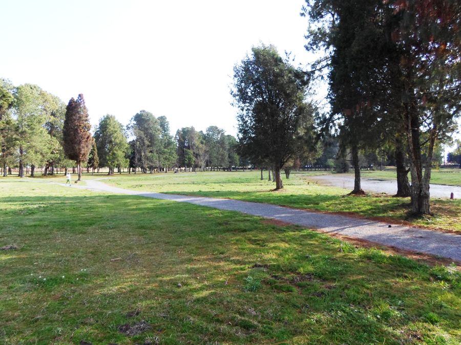 Nova área de esporte e lazer foi criada onde era o campo de golfe 