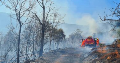 incêndio destrói 34 hectares de vegetação