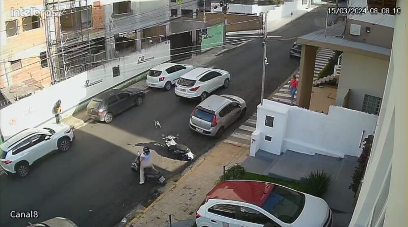 carro trafegando pela rua após atropelamento de cachorro