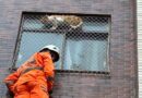 Bombeiros resgatam gato preso em janela de apartamento