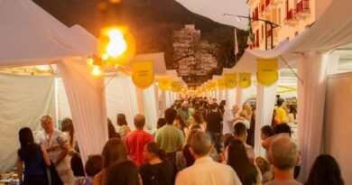 vila literária flipoços