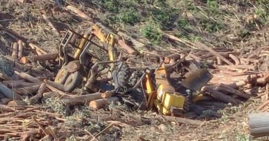 acidente fatal trator