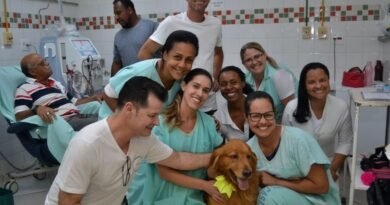 cãoterapia santa casa