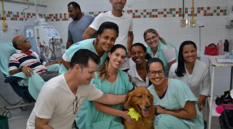 cãoterapia santa casa