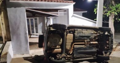 carro tombado no ipê