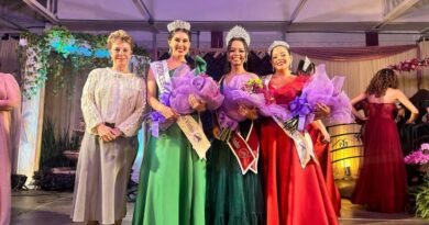 corte da festa do vinho