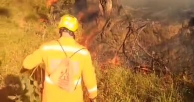 incêndio vegetação