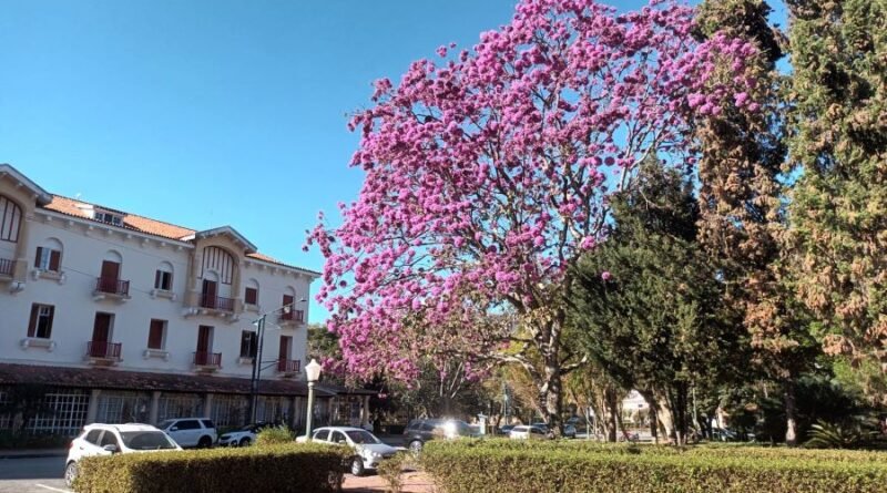 parque josé affonso junqueira
