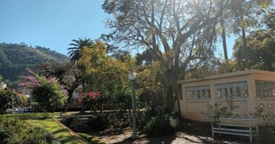 Praça Elisário Junqueira, a praça da Fonte do Leãozinho