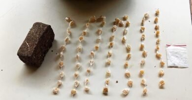 apreensão de drogas gcm