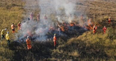 manejo de incêndio corpo de bombeiros