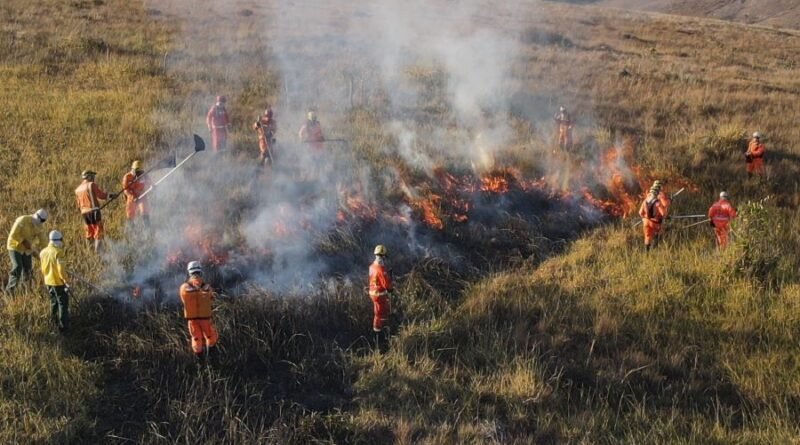manejo de incêndio corpo de bombeiros