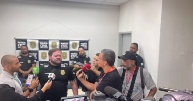 investigação furto de gado