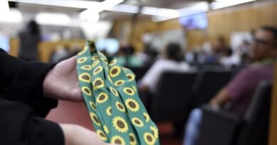 lei beneficia alunos com tea ou superdotados almg