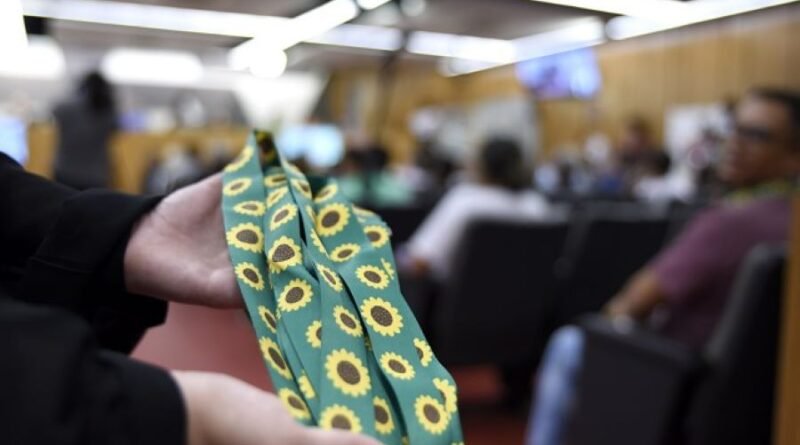 lei beneficia alunos com tea ou superdotados almg