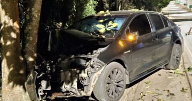 carro bate em árvore na Wenceslau Braz