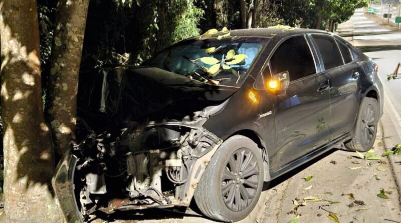 carro bate em árvore na Wenceslau Braz