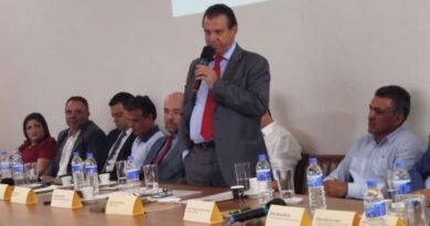 projeto piloto migração café