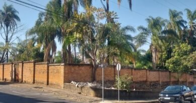 muro com pichações nazistas