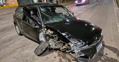 motorista embriagado