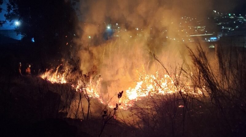 incêndio campo da mogiana