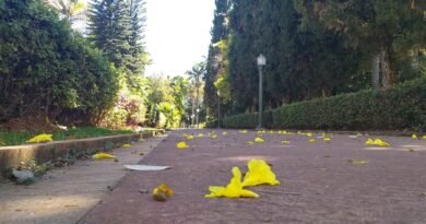 Parque José Affonso Junqueira