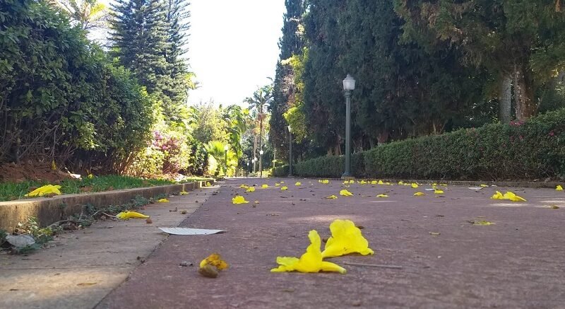 Parque José Affonso Junqueira