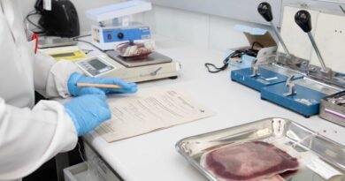 transplante de medula óssea