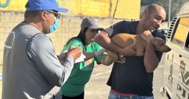 vacinação antirrabica