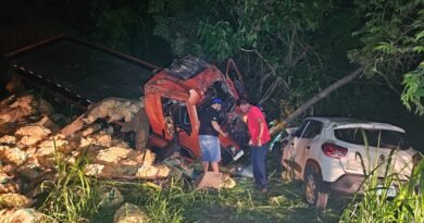 Acidente entre caminhão e carro deixa dois feridos na BR 459, em Caldas-MG