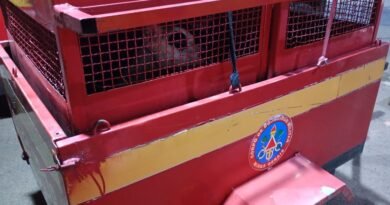 cão da raça pitt bull capturado pelos bombeiros depois de atacar mãe e filha em São Sebastião do Paraíso