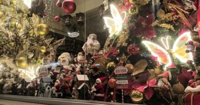 vitrine com decoração natalina, borboleta de led