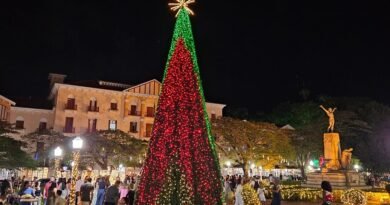 árvore de natal na praça Pedro Sanches em Poços de Caldas