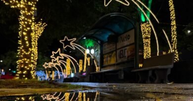 decoração natalina em Macahado