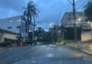 Árvore caída na avenida João Pinheiro, após a ventania e chuva em Poços de Caldas-MG