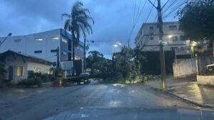Árvore caída na avenida João Pinheiro, após a ventania e chuva em Poços de Caldas-MG