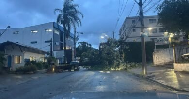 Árvore caída na avenida João Pinheiro, após a ventania e chuva em Poços de Caldas-MG