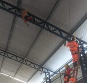 bombeiros realizando o resgate em altura de um jovem que ficou preso em uma estrutura da quadra esportiva de Alfenas MG