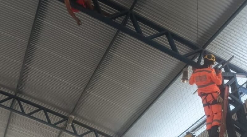 bombeiros realizando o resgate em altura de um jovem que ficou preso em uma estrutura da quadra esportiva de Alfenas MG