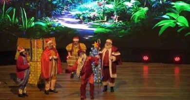 peça o natal dos três porquinhos