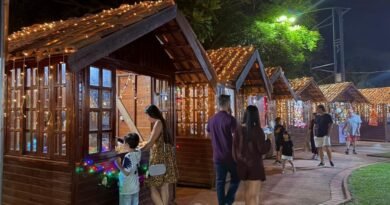 Vila do Artesanato de Poços de Caldas-MG