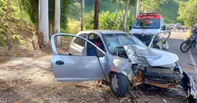 carro acidentado na MG 446 em Nova Resende depois de bater em duas árvores