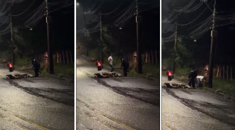 charrete tombada após disparada de cavalo próximo à PUC Minas em Poços de Caldas-MG