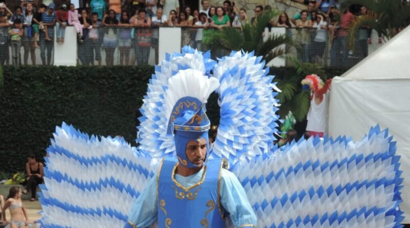 folião durante o concurso banho à fantasia em Poços de Caldas