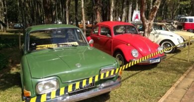 carros antigos no Parque José Affonso Junqueira