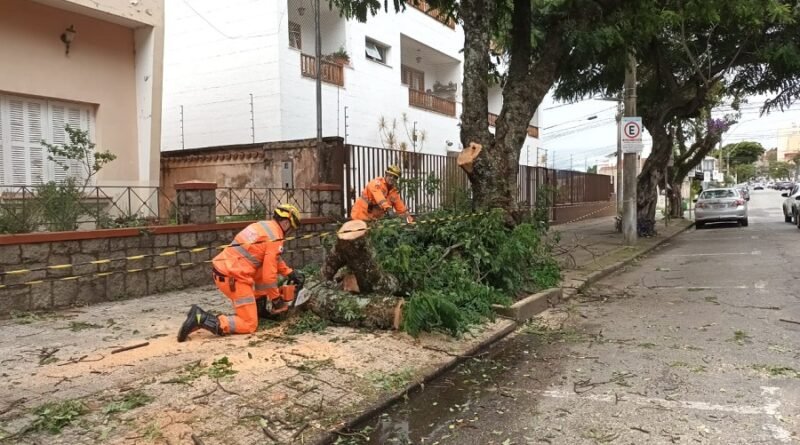 bombeiros cortando galho de árvore comprometido na rua Paraíba em Poços de Caldas-MG