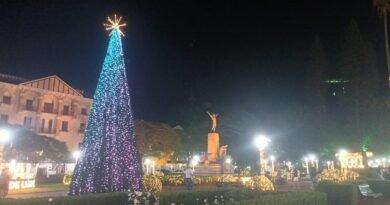 Decoração natalina na Praça Pedro Sanches em Poços de Caldas (MG)