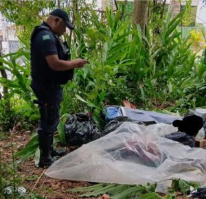 Guarda Civil Municipal abordando morador de rua na mata