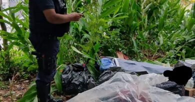 Guarda Civil Municipal abordando morador de rua na mata