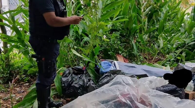 Guarda Civil Municipal abordando morador de rua na mata